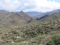 On the Arizona Trail north of Superior